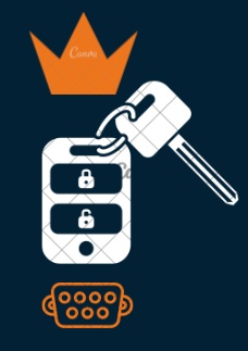 Access Key icon